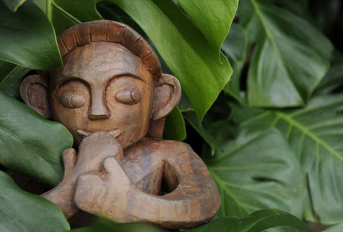 Хо’опонопоно — древнее гавайское искусство решения проблем