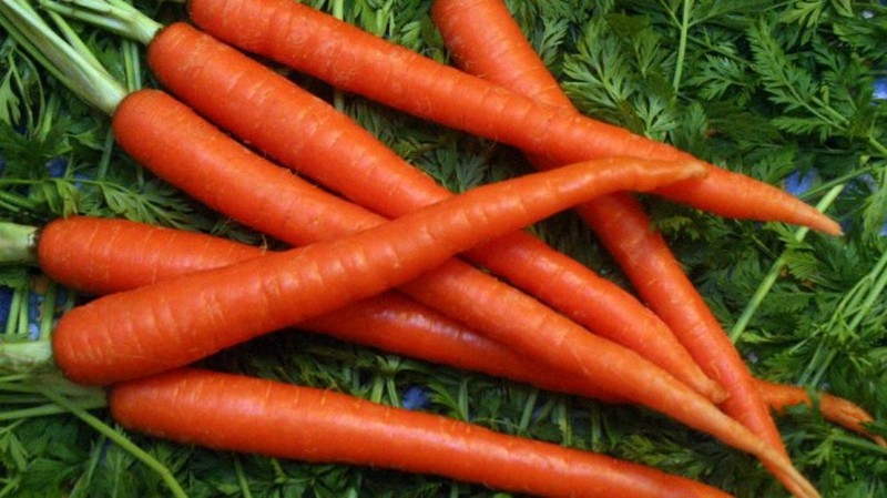 Марганцовка для морковки