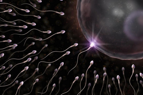 Заводим сперматозоид «вручную»