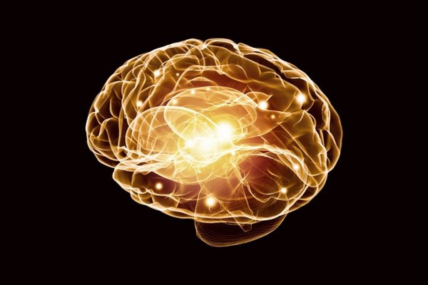 Мозг пожилых людей содержит «супернейроны»