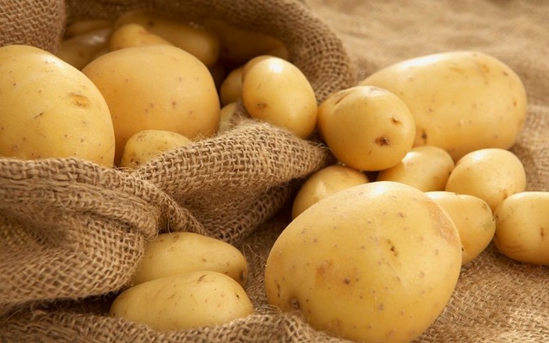Как собрать 450 кг картошки с одной сотки