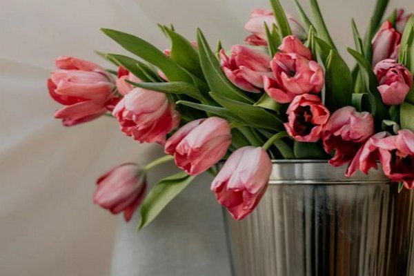 Тюльпаны наклонились: как оживить цветы в домашних условиях