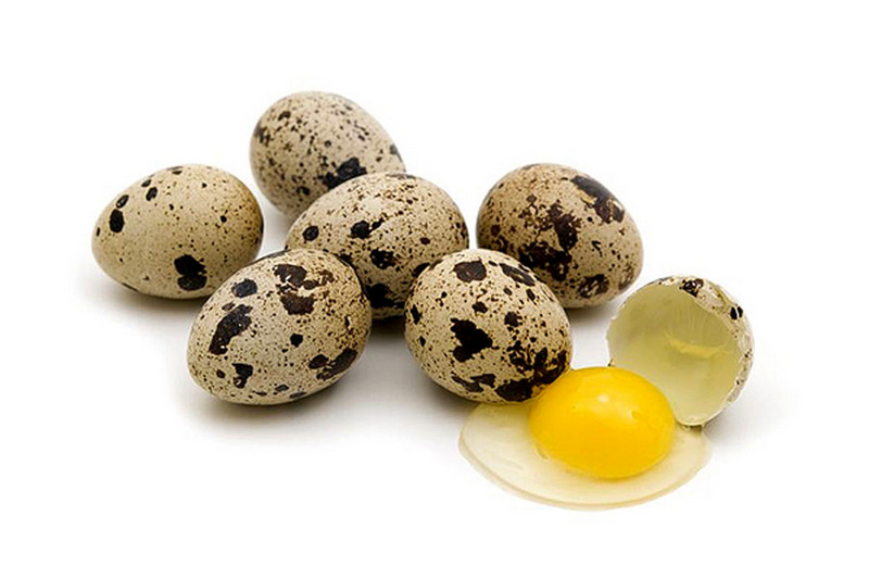 Природное лекарство - перепелиные яйца