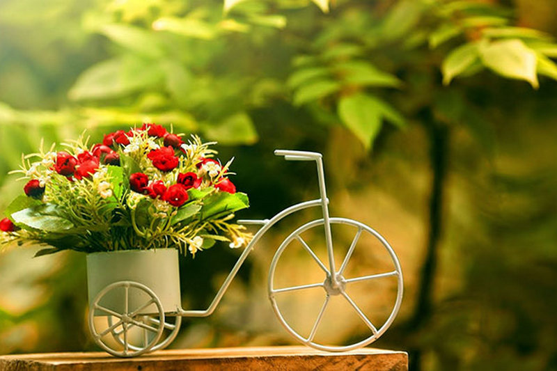 9 советов как сохранить свежесть подаренных цветов