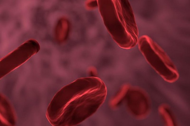 Самая смертоносная группа крови человека: ответ ученых