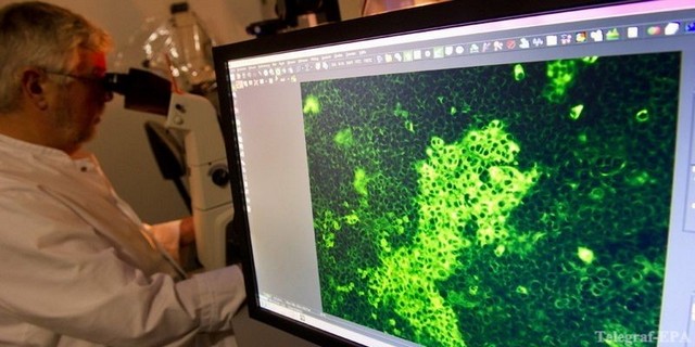 Ученые обнаружили тысячи неизвестных ранее вирусов