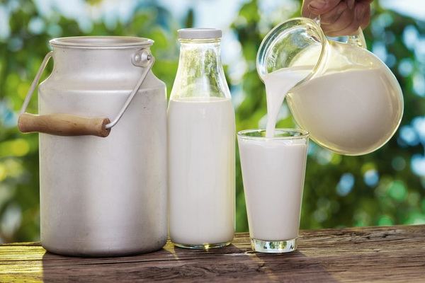 Продажа молока оптом и ее преимущества