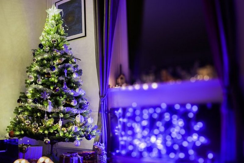 Как привлечь удачу в дом с помощью правильно поставленной новогодний елки