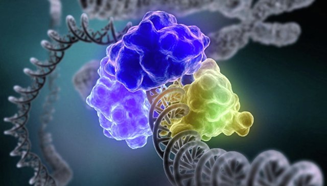 «Хвосты» ДНК могут спрогнозировать продолжительность жизни женщины