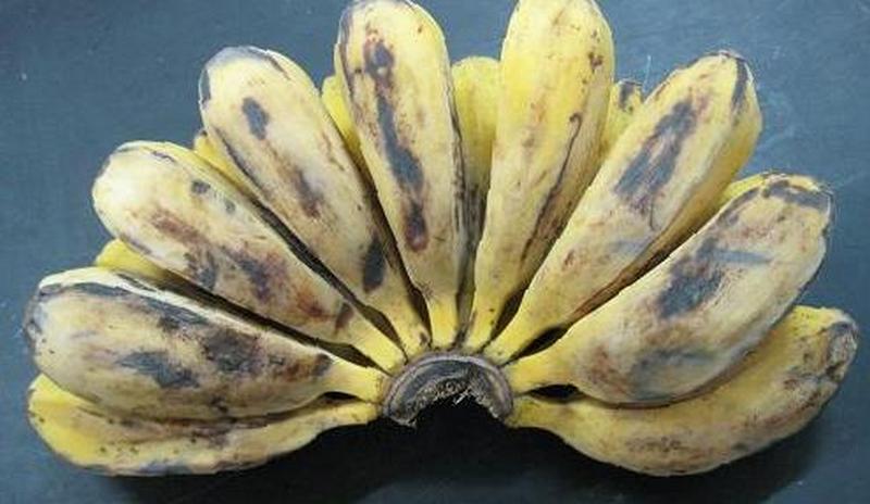 В чем польза потемневших бананов