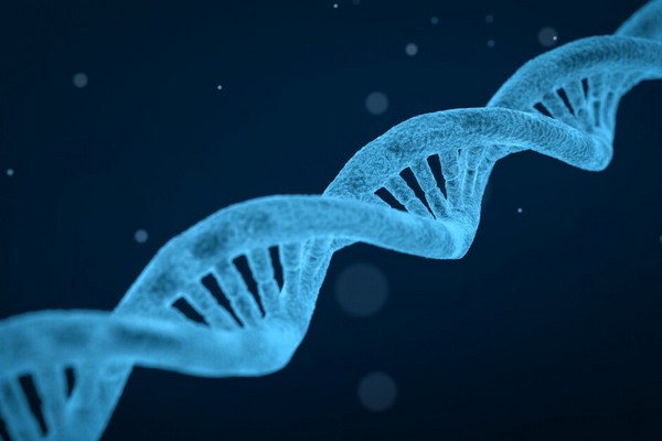 Хорошие гены, плохие гены и супергены
