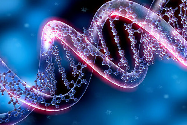 Новая генетика говорит «нет» «Геном человека» и другие исследования