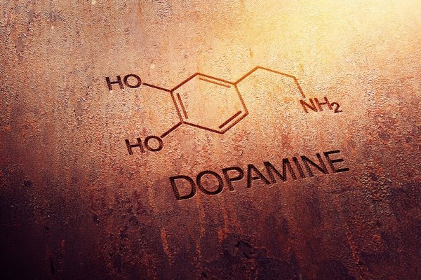Удовольствие: дофамин
