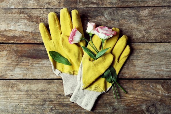 Какие перчатки подойдут садоводу?