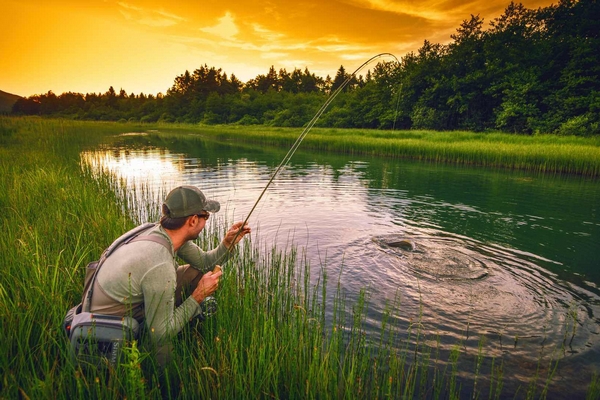 Какое снаряжение нужно для идеальной рыбалки?