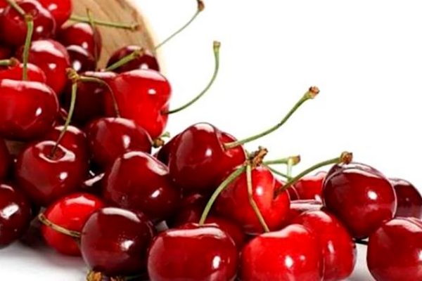 Целебные свойства вишни