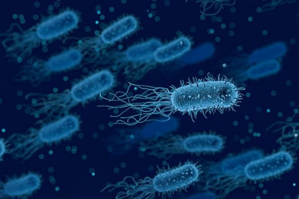Ученые создали «вирусы-убийцы» бактерий, вызывающих дизентерию