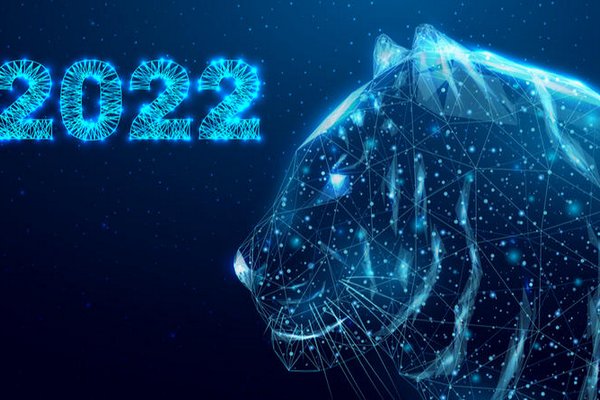 Финансовый гороскоп на 2022 год: кому ждать бонусы от Тигра