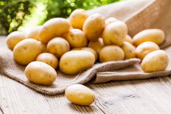 Какие сорта картофеля выращивают?