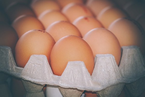 Врачи рассказали, что происходит с организмом, когда вы ежедневно едите яйца