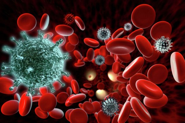 Ученые нашли связь между группой крови и уровнем иммунитета