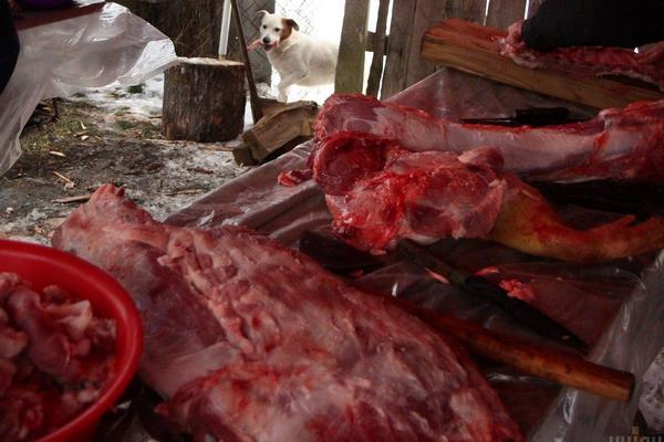 Украина сократила импорт свинины втрое: эксперты назвали причину