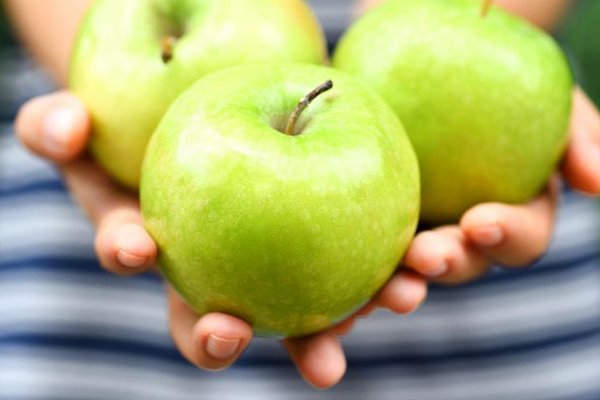 Сезонные яблоки: польза и правильные заготовки