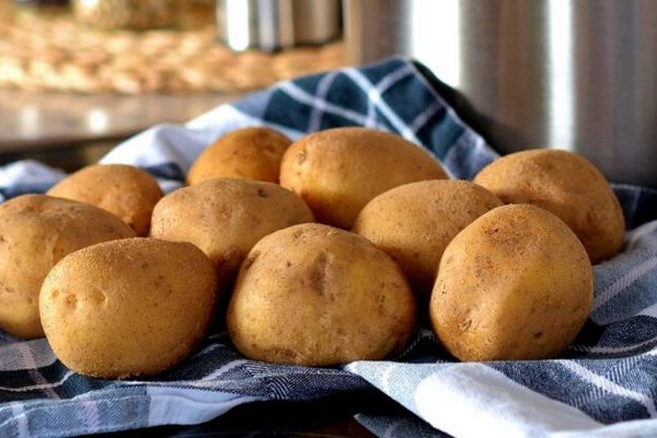 Ученые назвали виды картофеля, которые снижают уровень сахара в крови