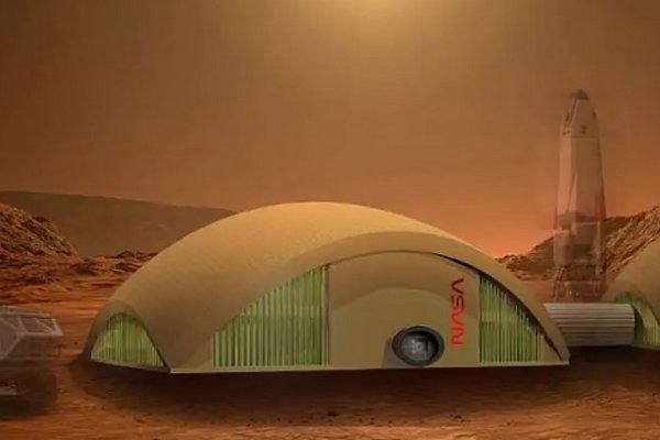 Грибы прочнее бетона и радиоустойчивые: ученые придумали, из чего строить дома на Марсе