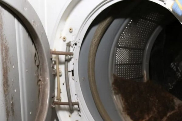 Как быстро и легко очистить стиральную машину