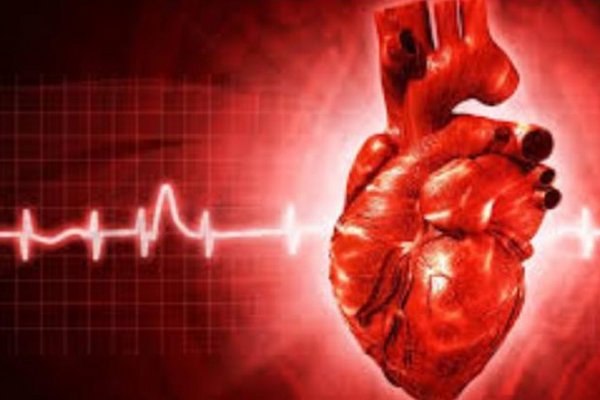 Как распознать проблемы с сердцем и своевременно уберечься от ишемической болезни Редакция