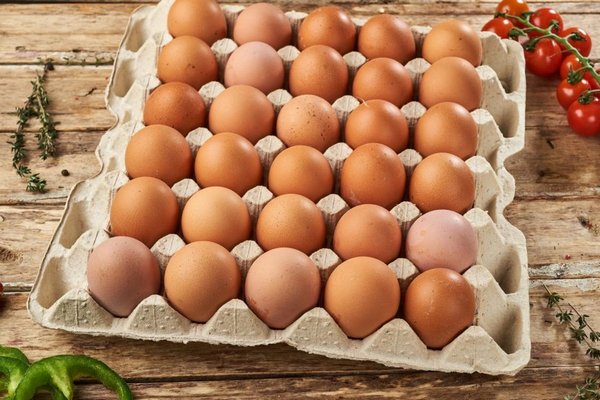 Как узнать, свежее ли яйцо: домашние методы