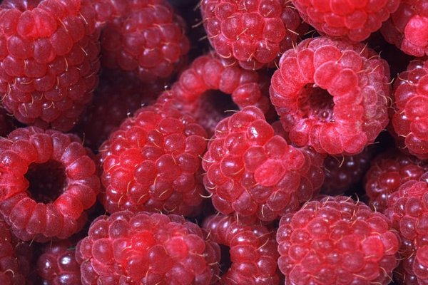 Эксперты назвали ягоду, которая эффективно сжигает жир на животе