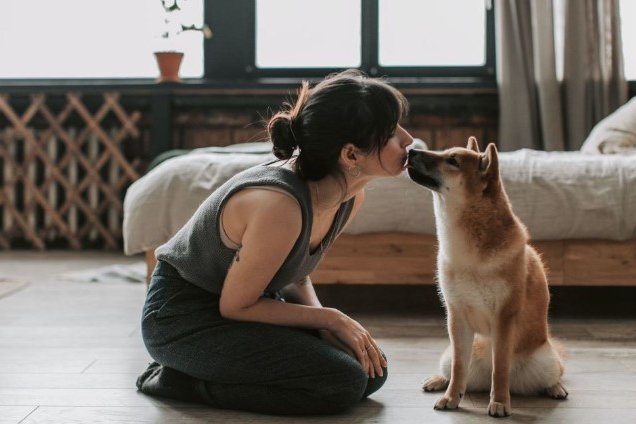 Безопасно ли целовать своего любимца: риск заразиться от собаки или кошки невелик, но реальный