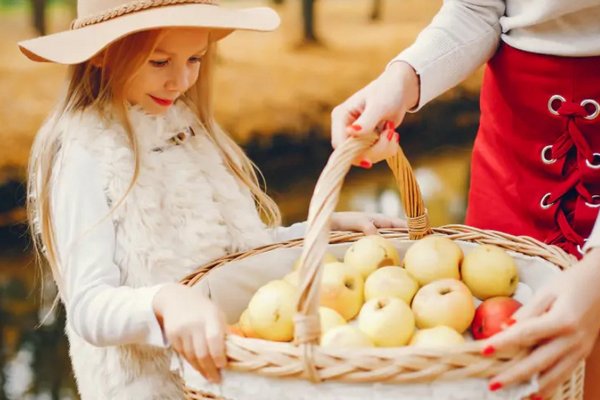 Будут сочными до самой весны: три надежных способа хранить яблоки на зиму