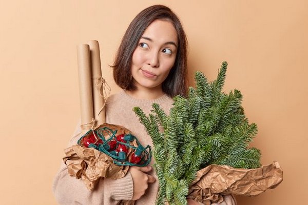Новый год на носу, а елкой и не пахнет? Какие растения могут заменить рождественское дерево