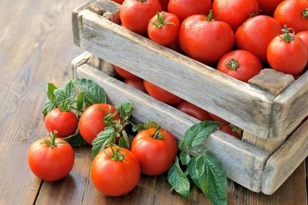 Из-за низкого спроса в Украине дешевеют томаты: какие цены