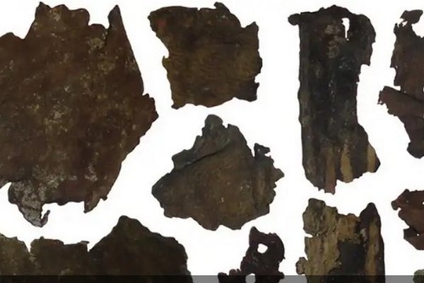 Древние скифские колчаны, найденные в Украине, оказались частично сделанными из кожи людей
