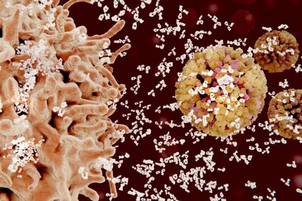 4 признака ослабления иммунитета, которые нельзя игнорировать