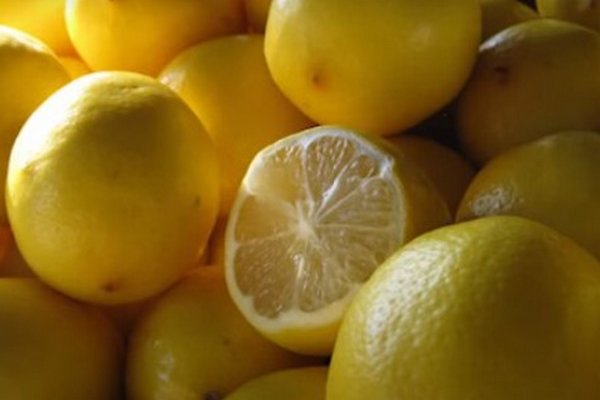 Не будут засыхать и портиться: что нужно сделать, чтобы лимоны хранились намного дольше