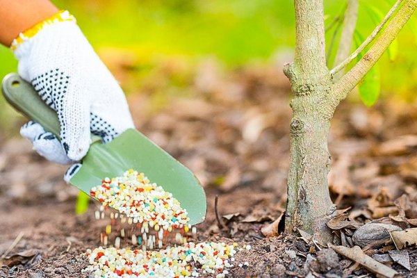 Как и чем подкармливать почву весной - советы огородникам