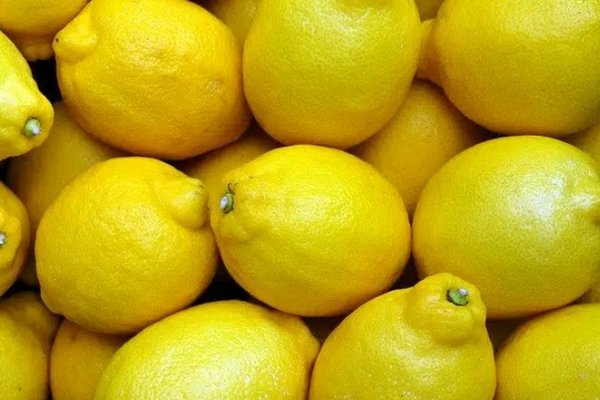Как отразится на организме ежедневное употребление лимонов рассказали эксперты