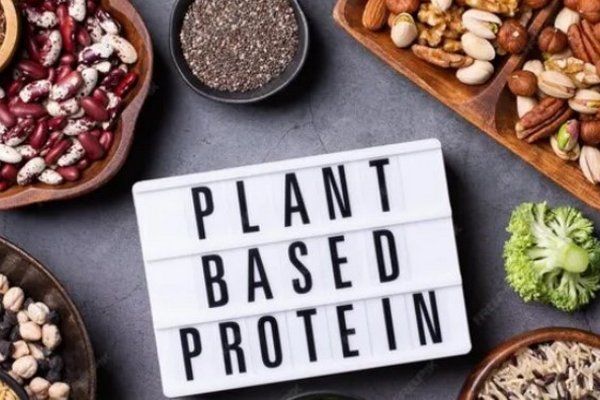 Не мясом единым: 6 лучших источников растительного белка