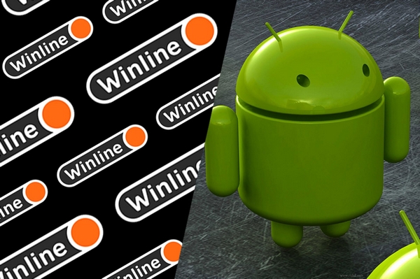Приложение БК Winline на Android: инструкция по установке