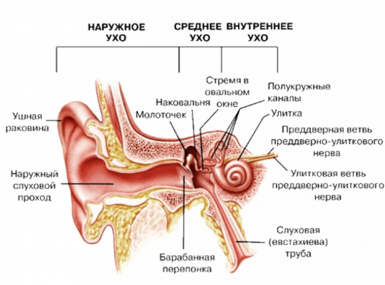 Воспаление слуховой (евстахиевой) трубы