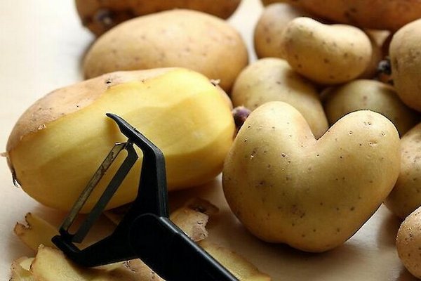 Как не потерять пользу овощей: секреты правильной термообработки Как не потерять пользу овощей: секреты правильной термообработки