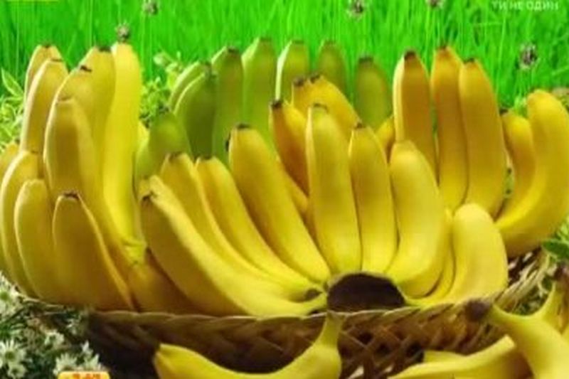 Эксперт объяснил падение цены на бананы