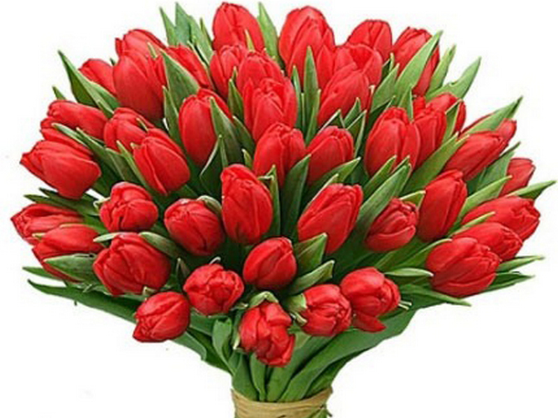 Тюльпаны, розы или гиацинты: как выбрать цветы на 8 марта и цены
