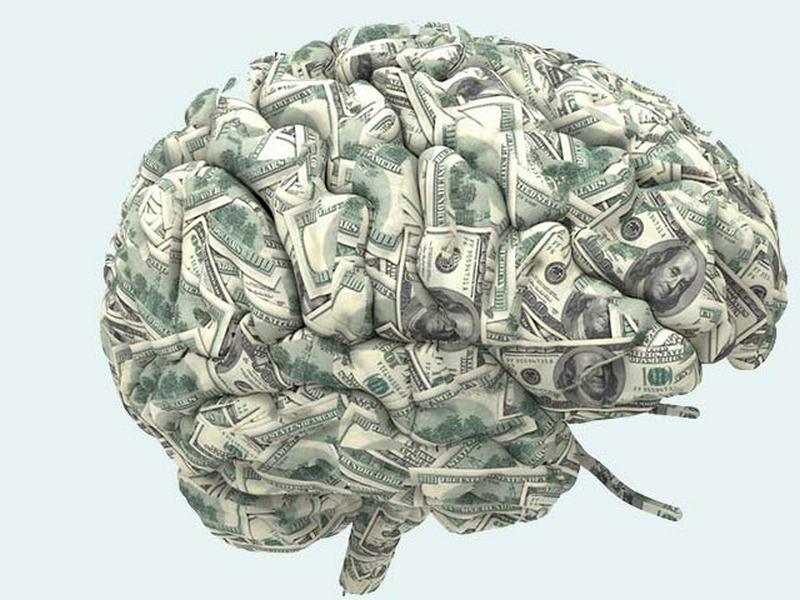 Финансовый успех: все зависит от строения мозга