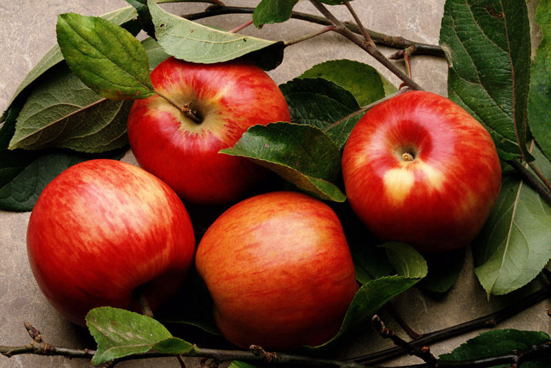 Эксперт рекомендует выбирать яблоки по запаху, а цитрусовые - по кожуре